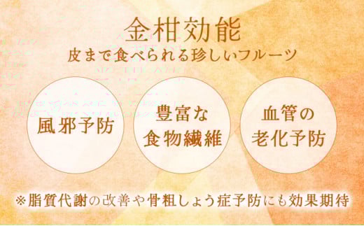 KU445 ＜先行予約＞【プレミアム】選りすぐりの大玉完熟きんかん１kg【玉様ファーム】
