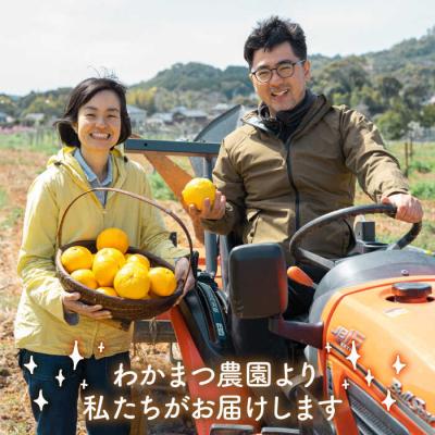 ふるさと納税 糸島市 【全3回定期便】【植物 由来】 万能 濃縮 甘夏 みかん 洗剤/わかまつ農園 [AHB020] |  | 03