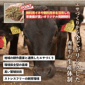 No.1247 ＜定期便・全3回(連続)＞カミチクの定番！鹿児島県産黒毛和牛定期便(合計1.3kg) 牛肉 黒毛和牛 和牛 ステーキ スライス 焼肉 BBQ キャンプ 定期便 頒布会 A5 冷凍 ギフ