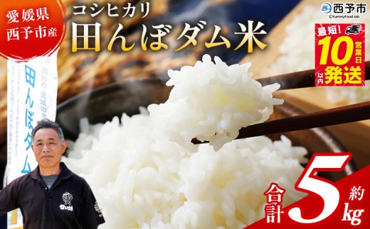 ＜令和7年産 愛媛県西予市産 コシヒカリ 田んぼダム米 5kg＞ ※最短10営業日以内に順次発送予定 5キロ こしひかり 西予応援米 宇和米 お米 コメ こめ 白米 精米 米 国産 愛媛県産 宇和町産 和みファーム 愛媛県 西予市【常温】