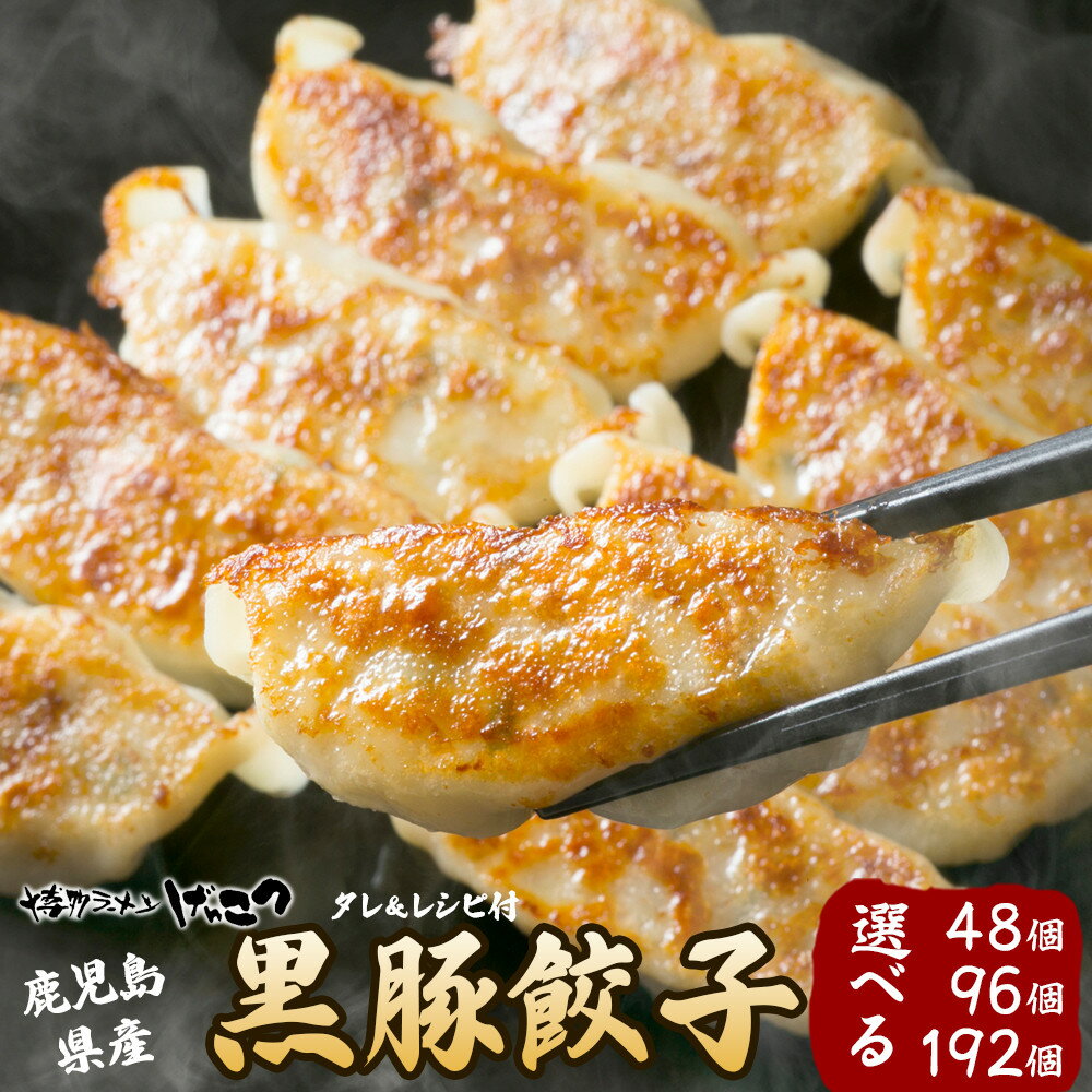 【ふるさと納税】黒豚　冷凍餃子 | 食品 おかず 加工食品 中華 総菜 黒豚 餃子 冷凍 人気 おすすめ 送料無料 惣菜 点心 簡単 調理 夕食 おつまみ もちもち 皮付き 肉汁たっぷり