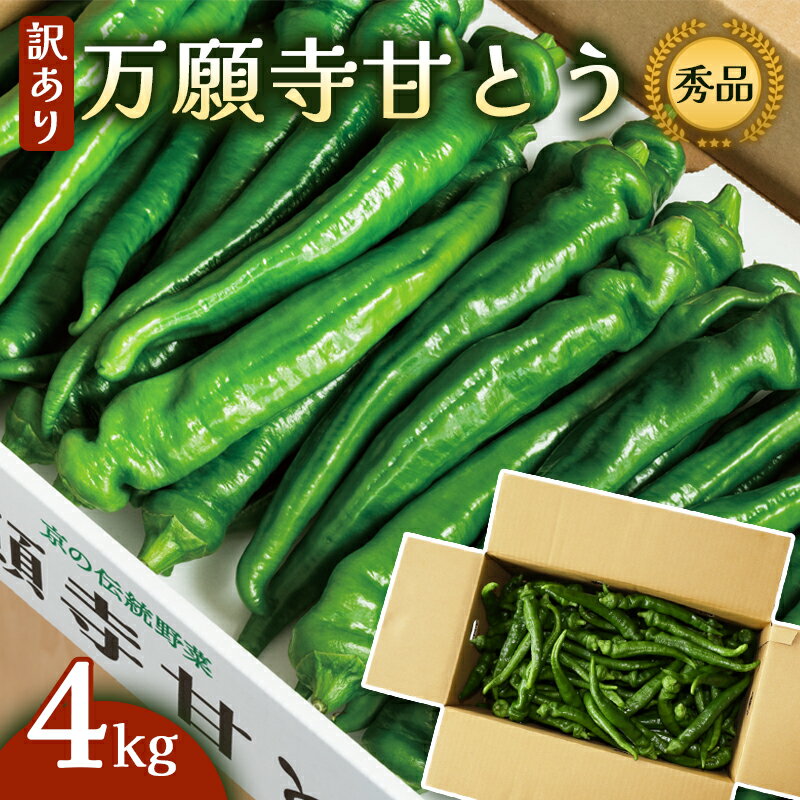 【ふるさと納税】【訳あり】京都産 万願寺甘とう 秀品 4kg 辛くない 京野菜 長さ不揃い JA丹の国 舞鶴