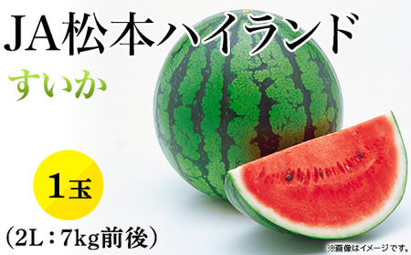 1811【2L】JA松本ハイランドすいか1玉 （約7kg）【2025年7月中旬～8月上旬発送】