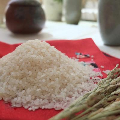 ふるさと納税 大和高田市 【令和7年産】奈良県産 ひとめぼれ 精米 5kg |  | 01