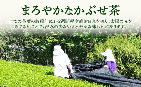 ＜西尾市吉良町＞かぶせ茶の里　お茶のながや 伝統銘茶　特上かぶせ茶200g・上かりがね200g・O023-12