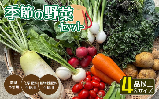 無農薬 季節の野菜セットS（約2kg） / 野菜 詰め合わせ 産地直送 綾部市 / ともときファーム丹波［BSBG008］