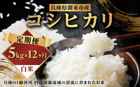 【先行予約】令和7年産 新米 定期便 兵庫の1級河川 円山川源流域で育まれた朝来市産コシヒカリ（白米）5㎏×12か月 【 先行予約 令和7年産 新米 定期便 コシヒカリ 計60kg お米 米 コメ こめ 安心 安全 良質 美味しい 甘み 旨味 兵庫県 朝来市 竹田城跡 円山川源流域 川の最上流域なので水のきれいさピカイチ!! 】