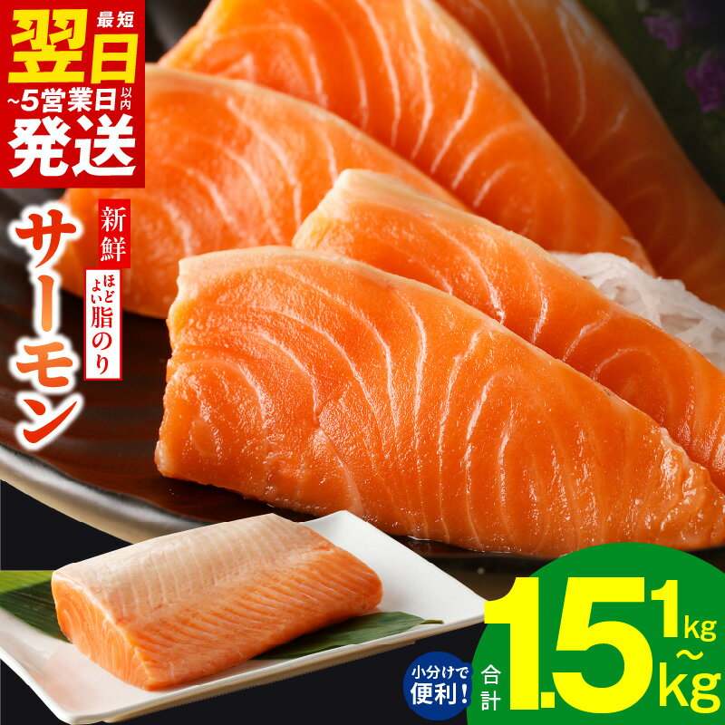 【ふるさと納税】圧倒的企業努力 最短翌日 サーモン 1kg / 1.5kg 定期便 訳あり 発送時期が選べる サイズ不揃い 鮭 ポーション 小分け ブロック 柵 刺身 海鮮丼 カルパッチョ 骨取り 生食 海鮮 冷凍 楽天限定 年内発送 最短 翌日発送 5営業日 大阪府