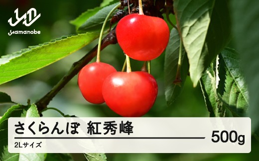
                  《先行予約》2026年 山形県産 紅秀峰 さくらんぼ  2Lサイズ 500g 1箱 ※沖縄・離島への配送不可 ts-bs2lx500
                