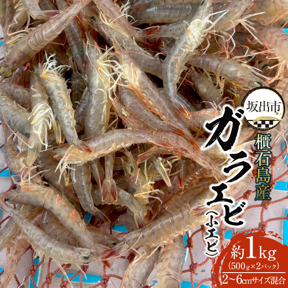 【ふるさと納税】櫃石島産ガラエビ（小エビ）約1kg　【500g×2パック】