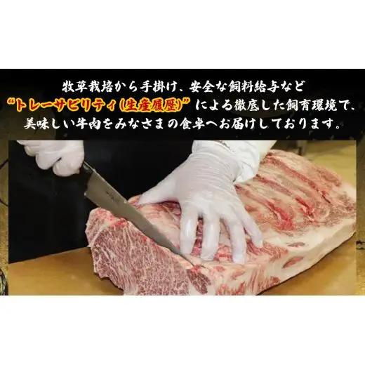 長崎和牛【サーロインステーキ】 (600g) ステーキ 和牛 B109 