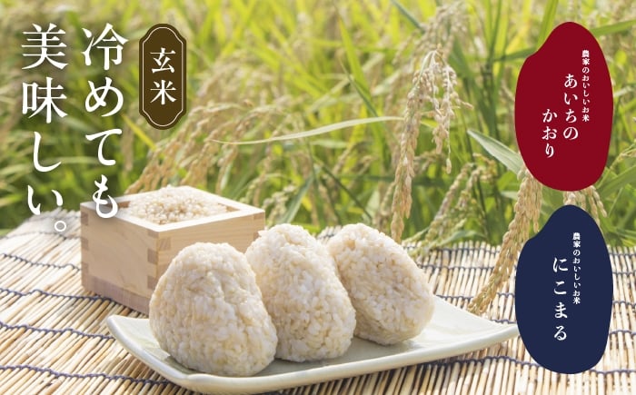 お米 玄米 雑穀米 ご飯 ごはん 特別栽培米 愛知県産 米 10kg 10キロ