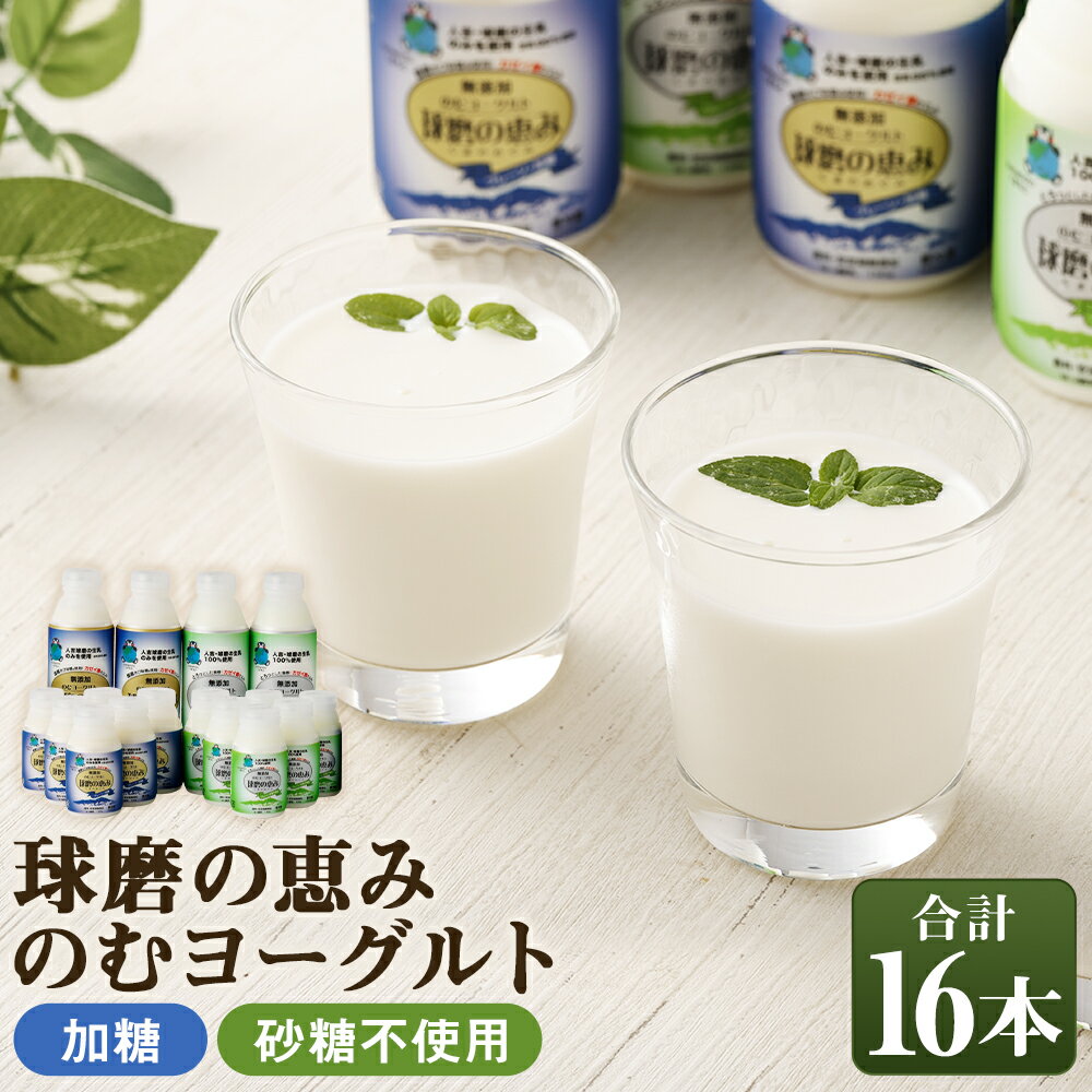 無添加 球磨の恵みのむヨーグルト 加糖＆砂糖不使用 詰め合わせセット 計16本 加糖 砂糖不使用 飲むヨーグルト ヨーグルト 乳製品 熊本県 人吉市 冷蔵 送料無料