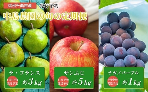 【2026年先行予約】フルーツ王国 信州 千曲 中島農園の旬の定期便（ナガノパープル、ラ・フランス、サンふじ）｜林檎  洋梨 洋ナシ 果物 フルーツ 黒ぶどう 葡萄 ブドウ 種無し 種なし 皮ごと 千曲市 長野県