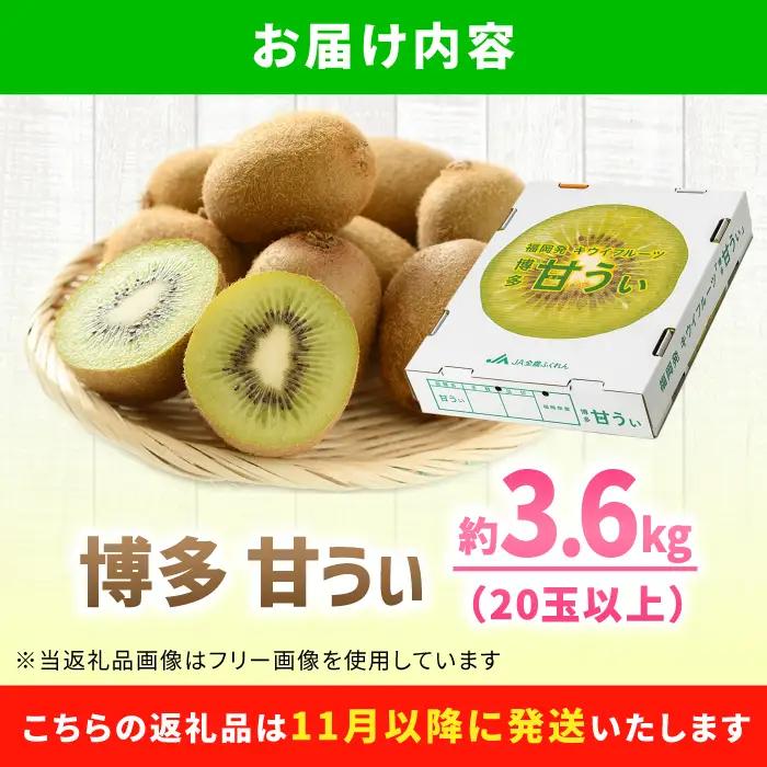 キウイフルーツ 博多甘うぃ 3.6kg キウイ【先行予約2026年 11月上旬より発送】[AFAB013]
