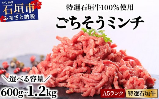 
                  ＜選べる内容量＞ A5ランク 特選 石垣牛 100％使用 ごちそうミンチ 300g 2～4パック（合計600g～1,200g）＜2026年3月以降順次発送＞ | 沖縄 石垣 ミンチ 牛 肉 A5ランク 特選 黒毛 和牛 石垣牛 贅沢 家庭用
                