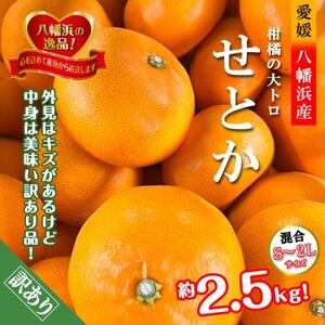 2026年2月～順次発送　柑橘の大トロ!「せとか」約2.5キロ【訳あり品・家庭向け】【C39-65】【配送不可地域：離島】【1619102】
