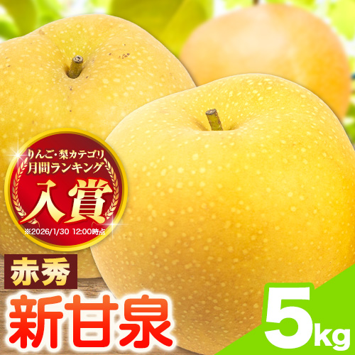 【先行予約】新甘泉 赤秀 約5kg JA鳥取いなば《8月下旬-9月上旬頃出荷》鳥取県 八頭町 梨 なし 果物 しんかんせん フルーツ ふるさと納税 送料無料 果実 果汁 常温便