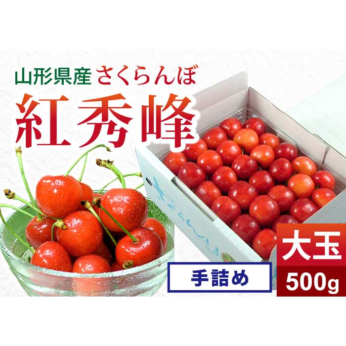 【ふるさと納税】 《先行予約 2025年度発送》 さくらんぼ 紅秀峰 大玉手詰め 500g FSY-0141