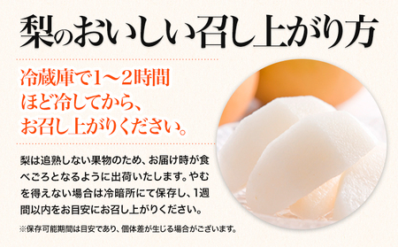 先行予約 くまもと 梨 訳あり 熊本県産 約5kg 6～17玉 フルーツ 予約 秋 旬 クール便 《2024年8月末旬-10月中旬頃より出荷予定》 SDGs 梨 先行予約 なし 果物 デザート ギフト