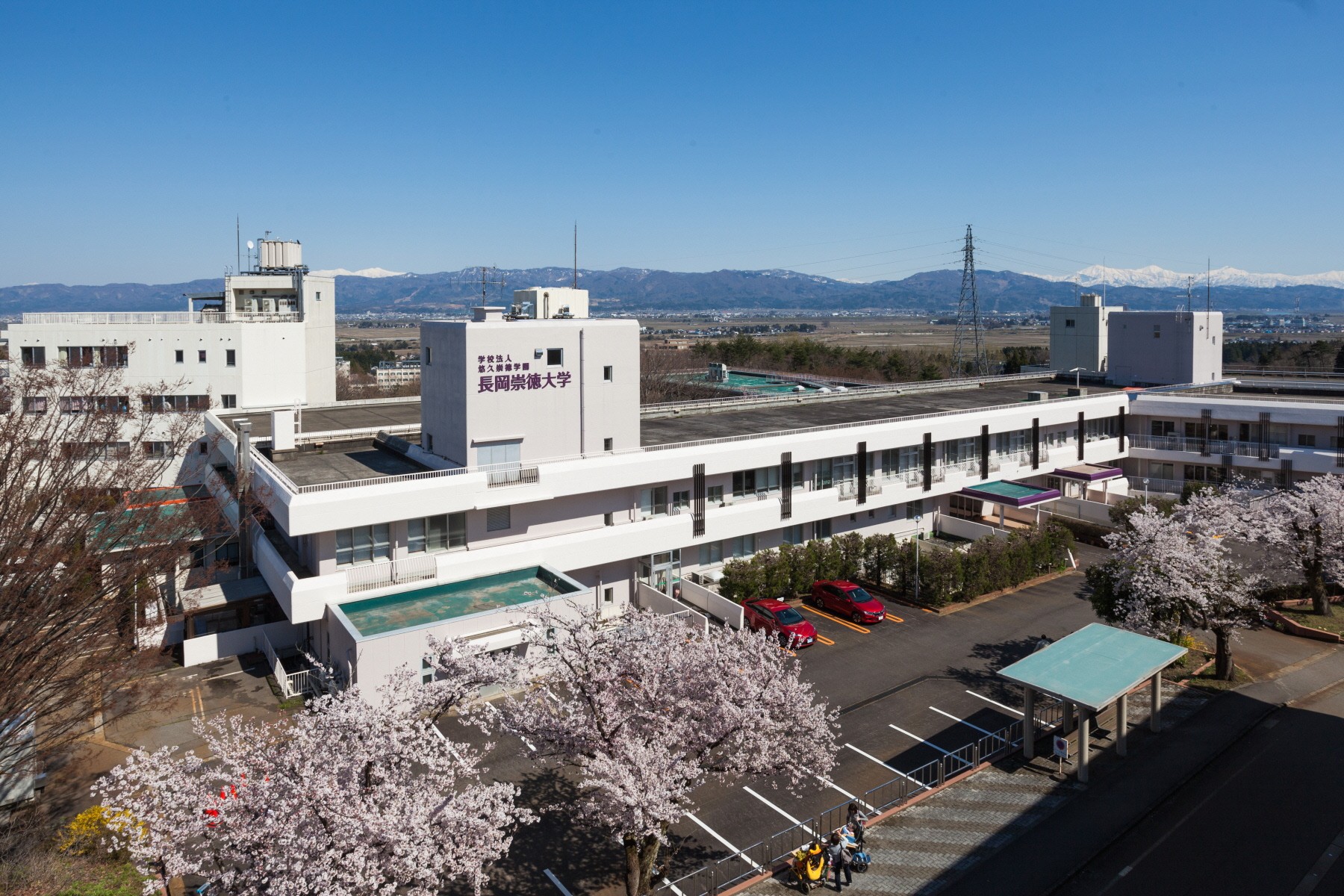 
                  【長岡崇徳大学への応援（返礼品なし）】
未来の医療人材を地域へ。学生とはぐくむ共生社会
看護学生が医療的ケア児や認知症、難病ケアを学び、地域ボランティアや中学生支援に挑戦。
寄付は返礼品に代え、未来の医療人を育てる人材育成と地域の「共生社会」に活用します。　
                