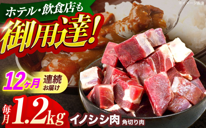 【12回定期便】ジビエ 天然イノシシ肉 角切り肉 1.2kg（カレー・シチュー）【照本食肉加工所】 [OAJ066]