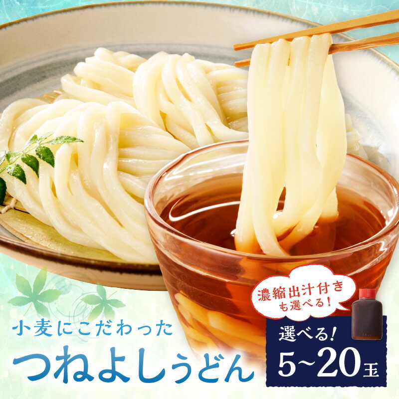 【ふるさと納税】月指定可／TVで紹介！小麦香る京都のうどん！もちもち麺。 時短調理！モチモチうどん／京丹後つねよしの冷凍うどん 5玉 10玉 20玉 選べる 量 配送時期 定期便 3回 毎月 隔月 5食分 10食分 20食分 出汁付き ふるさと納税 うどん 冷凍 麺 麺類 食品 冷凍うどん