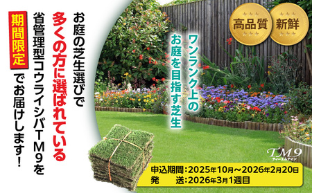 TM9 （ ティーエムナイン ） 省管理型コウライシバ トヨタ自動車(株) 開発品種 50平米 KN080-007-05 芝生 芝 庭 お庭づくり 高品質 新鮮 期間限定 限定 美景観 省管理 お手入