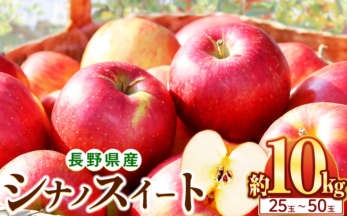 
            シナノスイート 10kg(25～50玉)｜ふるさと納税 松本市 シナノスイート りんご 林檎  果物 フルーツ 信州 美味しい 
          