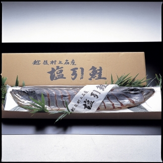 【村上産】塩引鮭１本姿　新潟　新潟県　鮭　1本