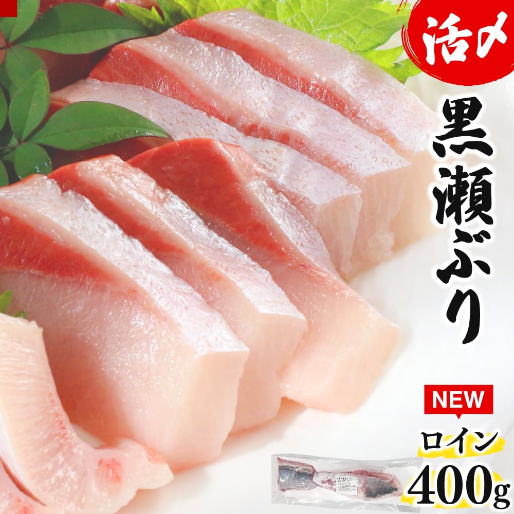 KU281-2＜2026年2月発送分＞活じめ！黒瀬ぶりの生鮮ブリロイン2節〜3節（400g前後）