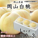 【ふるさと納税】桃 2024年 先行予約 岡山 白桃 エース 3玉×約200g（Lサイズ）JA おかやま のもも（早生種・中生種） もも モモ 岡山県産 国産 フルーツ 果物 ギフト　【 岡山の果物 岡山のフルーツ デザート 食後 】　お届け：2024年7月上旬～2024年8月中旬