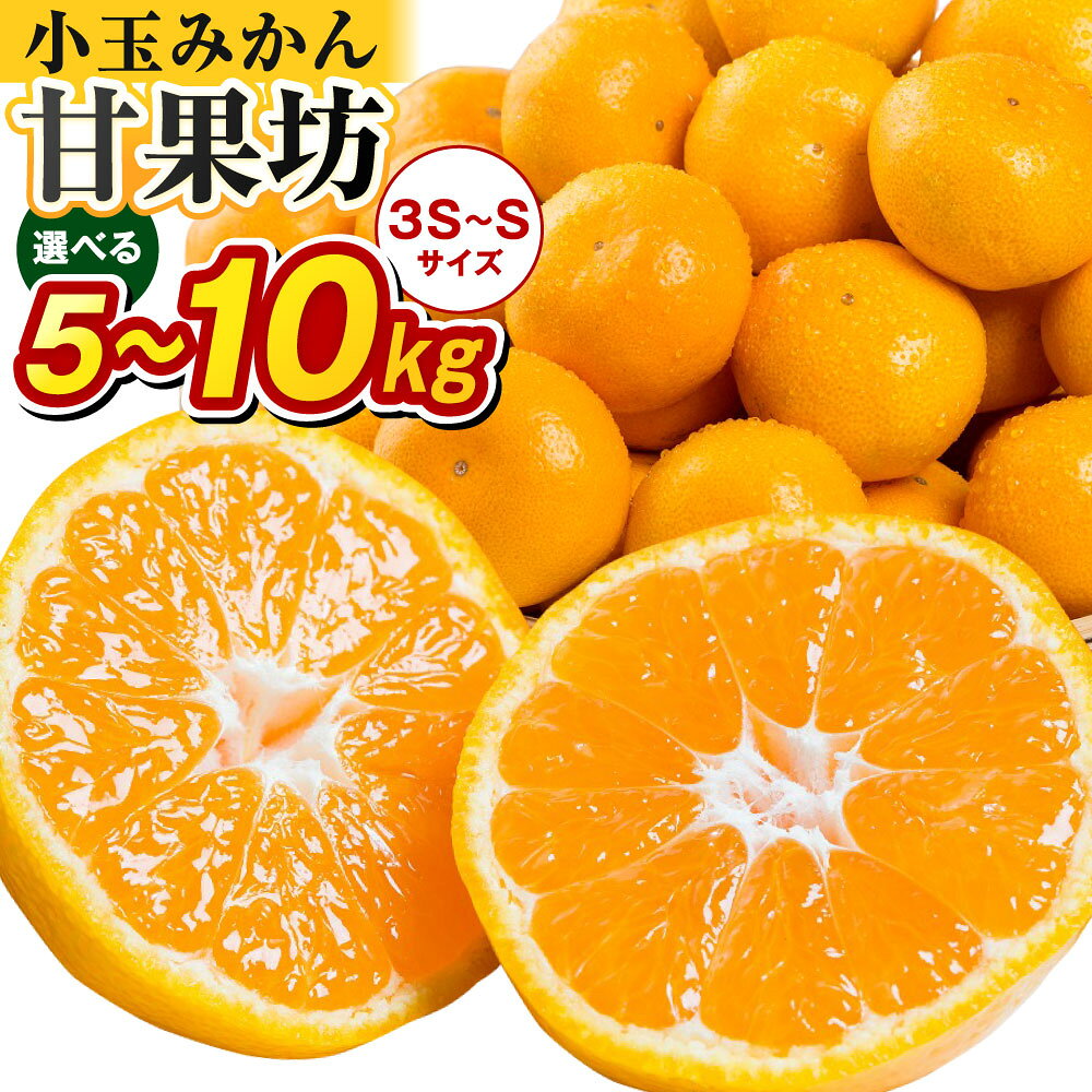 【ふるさと納税】みかん 大鋸農園 甘果坊（小玉）〈選べる容量〉5kg 10kg | 佐賀県 太良町 みかん ミカン 蜜柑 早生 極早生 小玉 ふるさと納税 5kg 佐賀県 太良町 有明海 柑橘 甘い sサイズ 黒酢 果物 フルーツ LB8x1 NB17x1 【2026年10月下旬～12月下旬配送予定 】
