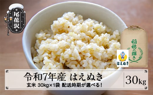 令和7年産 新米 玄米 はえぬき 30kg 30kg×1袋 2月上旬発送 kh-hagxa30-2f