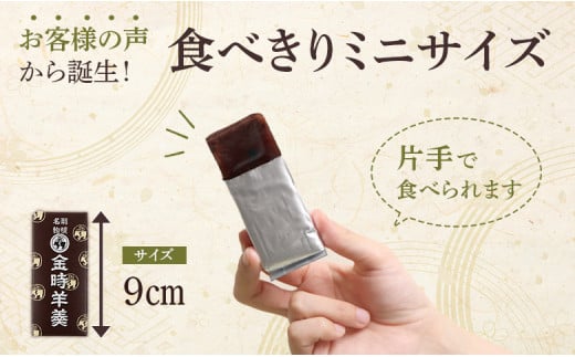 羽幌名物 ミニ金時羊羹5本入