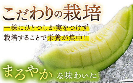 【先行予約メロン】【2024年8月初旬発送分】【糖度14以上】メロン アールスメロン 約4kg（2玉）《小値賀町》マスクメロン【ながさき西海農協小値賀地区園芸部会】[DAT002]  メロン マスクメ