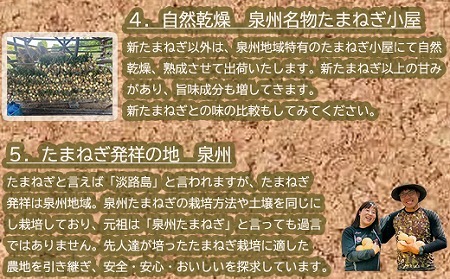 岸上農園　泉州玉ねぎ　約５kg
