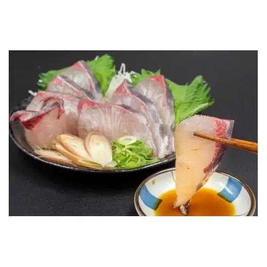 【 カンパチ 】 カンパチ刺身600g