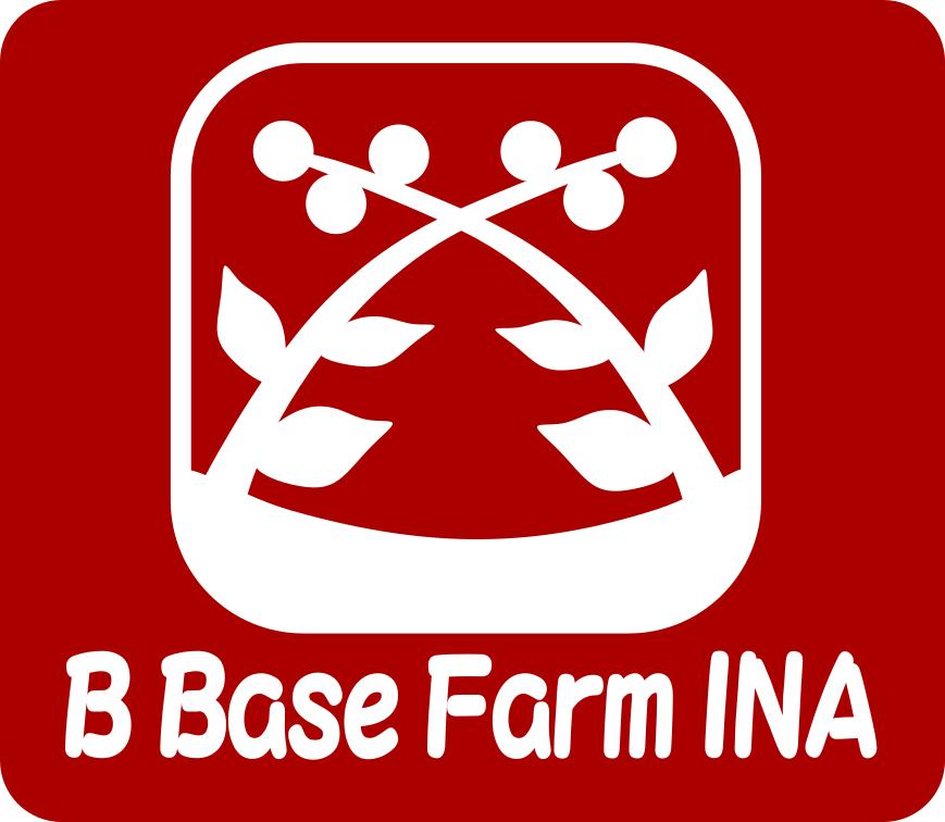 ブルーベリー 食べ比べ 品種 お任せ 100g×8パック B Base Farm伊那 | ブルーベリー フルーツ 国産ブルーベリー 果物 完熟 大粒 甘い 新鮮 食べ比べ 品種豊富 長野県産 長野県 信州 伊那市 【014-57】