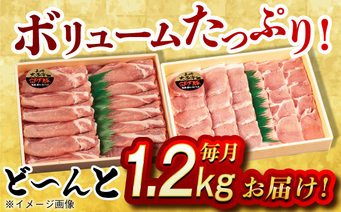 肉 豚 ぶた ブタ ロース 焼肉 焼き肉 しゃぶしゃぶ 小分け 西海市 長崎 九州 定期便