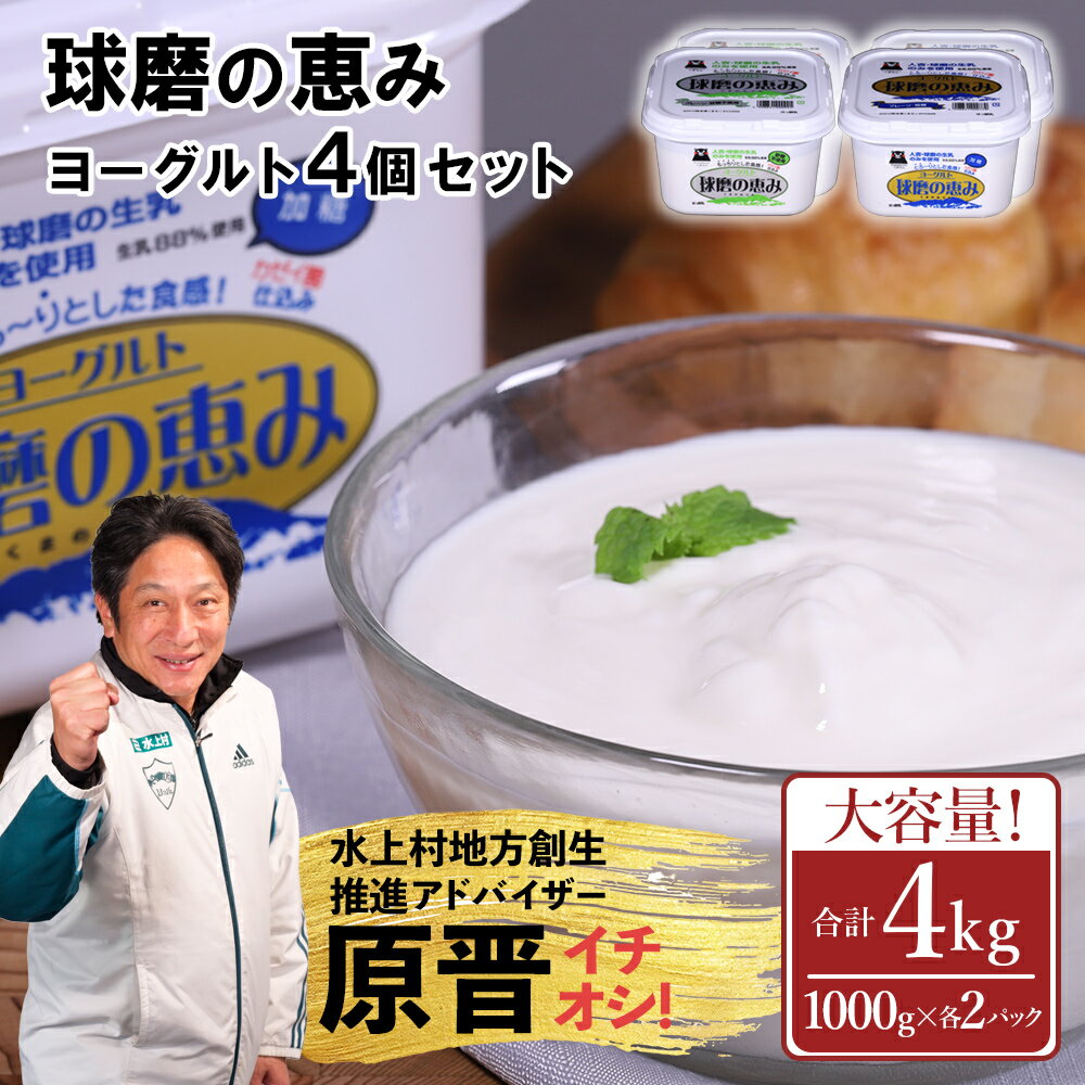 【ふるさと納税】 球磨の恵みヨーグルト 4kg 加糖 砂糖不使用 プレーン 1000g×各2個 合計4個セット 無糖 送料無料 大容量 まとめ買い 熊本県 水上村