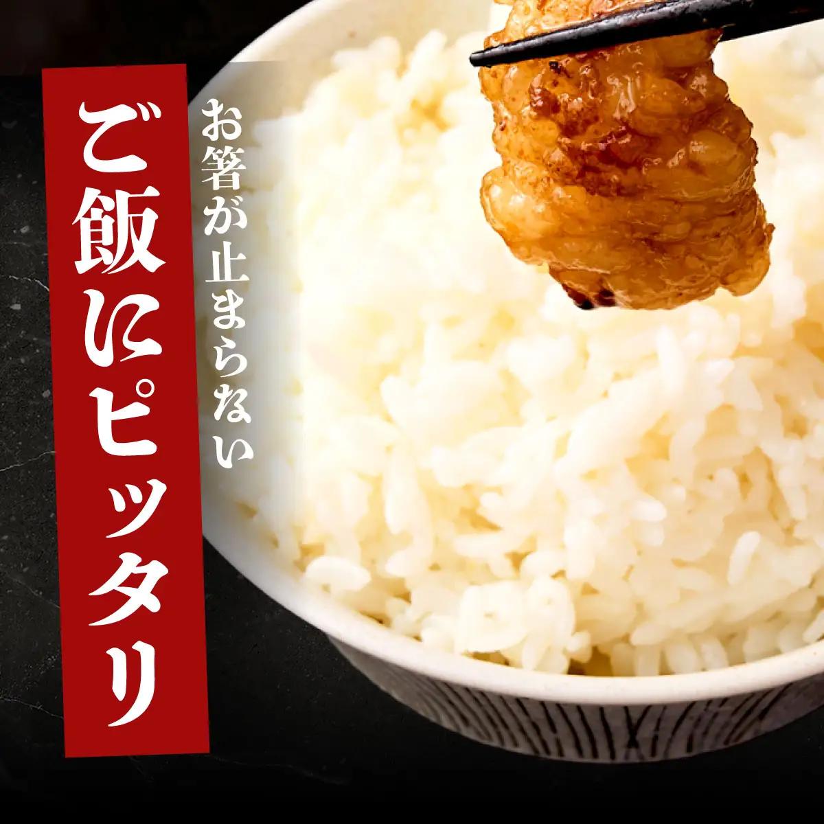 ヤマジュウの特製タレ漬け！国産牛ホルモン６００ｇ【３回定期便】 頒布会
