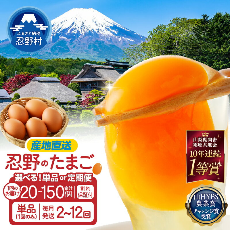 【ふるさと納税】 【選べる個数・配送月・定期便】 卵 たまご 赤玉 人気 20個～150個 定期便 2ヶ月～12ヶ月 割れ保証付 旨味 受賞歴多数 新鮮 濃厚 鶏卵 卵かけご飯 卵焼き コク 旨味 もみじたまご TKG 10000円以下 朝食 夕食 おすすめ 産地直送 山梨県産 ※沖縄県、離島不可