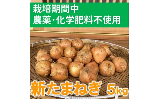 
                  生でもおいしい！新玉ねぎ（5kg）【栽培期間中農薬化学肥料不使用】
                
