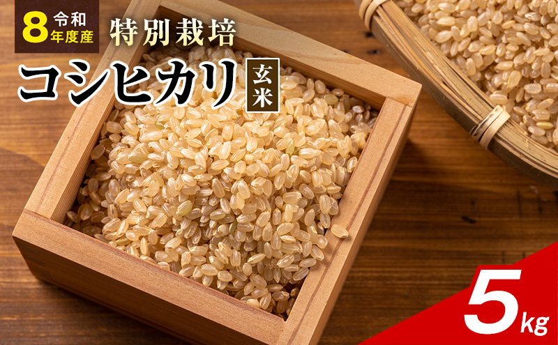 令和8年産 特別栽培米 コシヒカリ 玄米 5kg 静岡県産 色彩選別済 食に意識高い方へオススメ