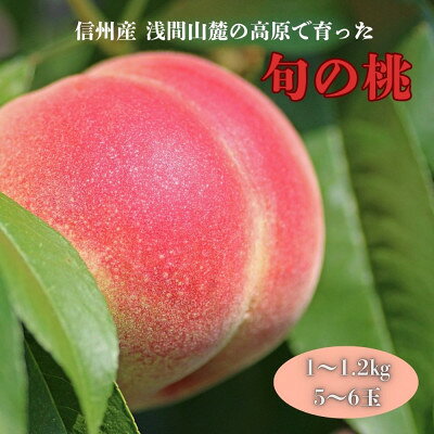 【ふるさと納税】長野県浅間山麓　御代田町の桃　家族で楽しむ食べ切りハーフ箱(1～1.2kg)【配送不可地域：離島・北海道・沖縄県】【1754261】