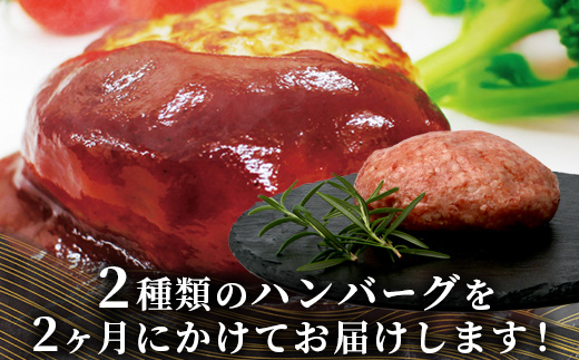 【定期便2回】 人気 ハンバーグ 食べ比べ 定期便 B 自家製豆腐のハンバーグ ／ くまもと黒毛和牛 生ハンバーグ 【合計3kg】 バラエティ 定期便 豆腐 牛肉 肉 熊本県産 092-0025