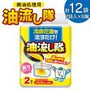 【ふるさと納税】廃油処理用 油流し隊 12袋セット（2袋×6個）- 簡単 かんたん 便利 掃除 そうじ道具 片付け 処分 あぶら オイル 調理油 揚げ物 フライ キッチン用品 台所用品 日用品 高知県 香南市【常温】hg-0020