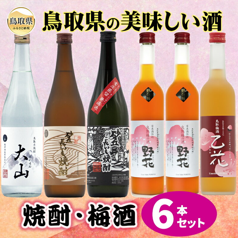 【ふるさと納税】鳥取県の美味しい酒　焼酎・梅酒　6本セット_T2600363