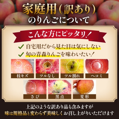 【26年10月から順次発送】糖度13度以上保証!ぐんま名月約3kg(6～18玉)訳あり 青森県産【配送不可地域：沖縄県】